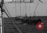 Standbild D Tag auf Iwo Jima Iwo Jima, 1945, aus Sekunde 37 historischem Filmmaterial Videoclip 65675046465