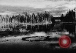Image Bataille de Gomel la Russie, 1943, de la seconde 62 séquences d'archives historiques vidéo 65675046480