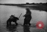 Image Bataille de Gomel en Seconde Guerre Mondiale Belarusia, 1943, de la seconde 41 séquences d'archives historiques vidéo 65675046481