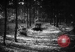 Image of Battle of Gomel Russia, 1943, second 5 stock footage video 65675046482