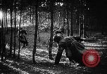 Image of Battle of Gomel Russia, 1943, second 7 stock footage video 65675046482