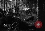 Image of Battle of Gomel Russia, 1943, second 9 stock footage video 65675046482