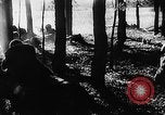 Image of Battle of Gomel Russia, 1943, second 14 stock footage video 65675046482