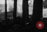Image of Battle of Gomel Russia, 1943, second 19 stock footage video 65675046482