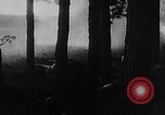 Image of Battle of Gomel Russia, 1943, second 22 stock footage video 65675046482
