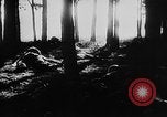Image of Battle of Gomel Russia, 1943, second 30 stock footage video 65675046482