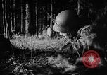 Image of Battle of Gomel Russia, 1943, second 36 stock footage video 65675046482