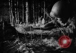 Image of Battle of Gomel Russia, 1943, second 37 stock footage video 65675046482