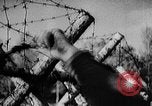 Image of Battle of Gomel Russia, 1943, second 52 stock footage video 65675046482