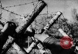 Image of Battle of Gomel Russia, 1943, second 54 stock footage video 65675046482