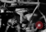 Image of Battle of Gomel Russia, 1943, second 55 stock footage video 65675046482
