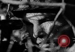 Image of Battle of Gomel Russia, 1943, second 56 stock footage video 65675046482