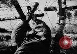 Image of Battle of Gomel Russia, 1943, second 58 stock footage video 65675046482