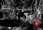 Image of Battle of Gomel Russia, 1943, second 60 stock footage video 65675046482