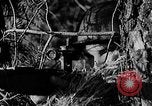Image of Battle of Gomel Russia, 1943, second 61 stock footage video 65675046482