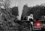 Image of Borneo Oil Fields Asia, 1942, second 19 stock footage video 65675046485
