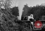 Image of Borneo Oil Fields Asia, 1942, second 20 stock footage video 65675046485