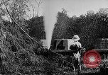 Image of Borneo Oil Fields Asia, 1942, second 22 stock footage video 65675046485