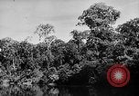 Image of Borneo Oil Fields Asia, 1942, second 38 stock footage video 65675046486