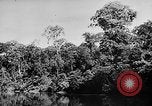 Image of Borneo Oil Fields Asia, 1942, second 39 stock footage video 65675046486