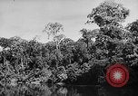Image of Borneo Oil Fields Asia, 1942, second 40 stock footage video 65675046486