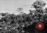 Image of Borneo Oil Fields Asia, 1942, second 41 stock footage video 65675046486
