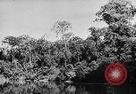 Image of Borneo Oil Fields Asia, 1942, second 42 stock footage video 65675046486