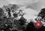 Image of Borneo Oil Fields Asia, 1942, second 52 stock footage video 65675046486