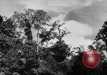 Image of Borneo Oil Fields Asia, 1942, second 53 stock footage video 65675046486