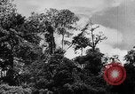 Image of Borneo Oil Fields Asia, 1942, second 55 stock footage video 65675046486