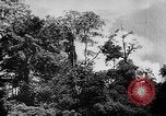 Image of Borneo Oil Fields Asia, 1942, second 56 stock footage video 65675046486