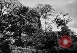 Image of Borneo Oil Fields Asia, 1942, second 57 stock footage video 65675046486