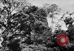 Image of Borneo Oil Fields Asia, 1942, second 58 stock footage video 65675046486