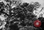 Image of Borneo Oil Fields Asia, 1942, second 59 stock footage video 65675046486