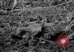Image of Captured Japanese airfield Munda New Georgia Solomon Islands, 1943, second 23 stock footage video 65675046491