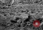Image of Captured Japanese airfield Munda New Georgia Solomon Islands, 1943, second 24 stock footage video 65675046491