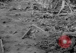 Image of Captured Japanese airfield Munda New Georgia Solomon Islands, 1943, second 26 stock footage video 65675046491