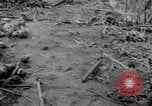 Image of Captured Japanese airfield Munda New Georgia Solomon Islands, 1943, second 27 stock footage video 65675046491