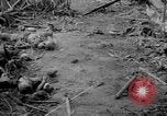 Image of Captured Japanese airfield Munda New Georgia Solomon Islands, 1943, second 28 stock footage video 65675046491