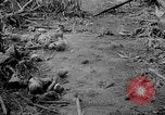 Image of Captured Japanese airfield Munda New Georgia Solomon Islands, 1943, second 29 stock footage video 65675046491