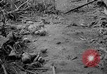 Image of Captured Japanese airfield Munda New Georgia Solomon Islands, 1943, second 30 stock footage video 65675046491