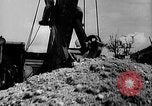 Image of Captured Japanese Airfield Munda New Georgia Solomon Islands, 1943, second 53 stock footage video 65675046492