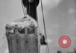Image of Captured Japanese Airfield Munda New Georgia Solomon Islands, 1943, second 56 stock footage video 65675046492