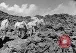 Immagine di Il Monte Vesuvio Italia, 1944, secondo 15 filmato di repertorio 65675046497
