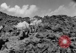 Immagine di Il Monte Vesuvio Italia, 1944, secondo 19 filmato di repertorio 65675046497