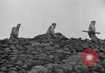 Immagine di Il Monte Vesuvio Italia, 1944, secondo 47 filmato di repertorio 65675046497