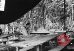 Immagine di La confessione e la massa Isola di Bougainville Papua Nuova Guinea, 1944, secondo 9 filmato di repertorio 65675046499