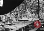 Immagine di La confessione e la massa Isola di Bougainville Papua Nuova Guinea, 1944, secondo 10 filmato di repertorio 65675046499