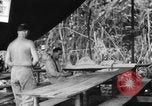 Immagine di La confessione e la massa Isola di Bougainville Papua Nuova Guinea, 1944, secondo 15 filmato di repertorio 65675046499