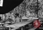 Immagine di La confessione e la massa Isola di Bougainville Papua Nuova Guinea, 1944, secondo 20 filmato di repertorio 65675046499